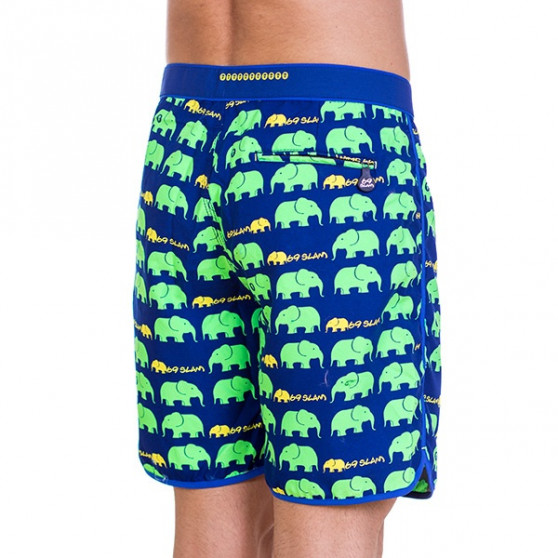 Vīriešu peldkostīmi 69SLAM Short Boardshort Medium Elephant Green