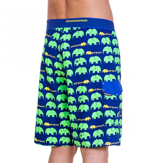 Vīriešu peldkostīmi 69SLAM Long Boardshort Elephant Green