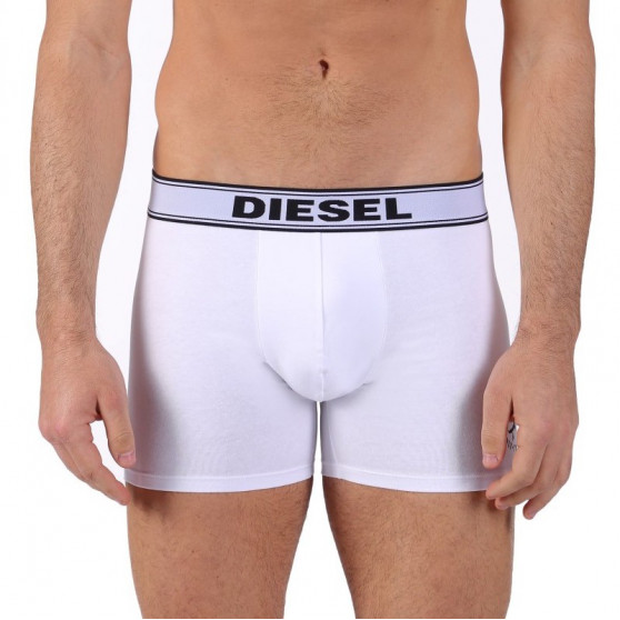 Vīriešu bokseru šorti Diesel white (00CEM4-0TANL-100)