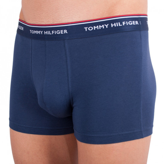 3PACK vīriešu bokseru šorti Tommy Hilfiger daudzkrāsaini (1U87903842 424)