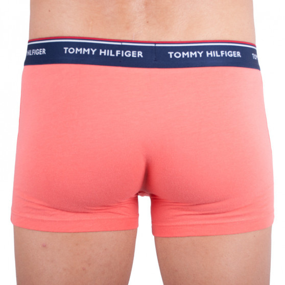 3PACK vīriešu bokseru šorti Tommy Hilfiger daudzkrāsaini (1U87903842 424)