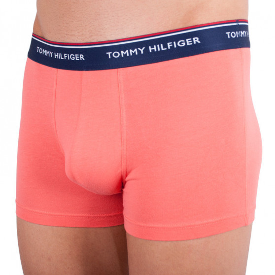 3PACK vīriešu bokseru šorti Tommy Hilfiger daudzkrāsaini (1U87903842 424)