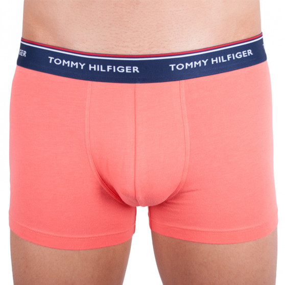 3PACK vīriešu bokseru šorti Tommy Hilfiger daudzkrāsaini (1U87903842 424)