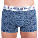 Vīriešu bokseru šorti Tommy Hilfiger daudzkrāsaini (UM0UM00504 416)