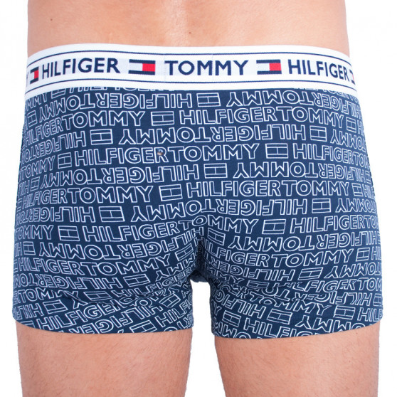 Vīriešu bokseru šorti Tommy Hilfiger daudzkrāsaini (UM0UM00504 416)