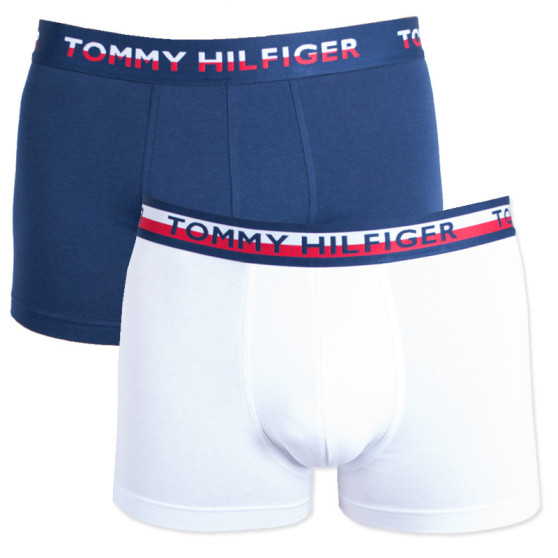 2PACK vīriešu bokseru šorti Tommy Hilfiger daudzkrāsaini (UM0UM00746 222)