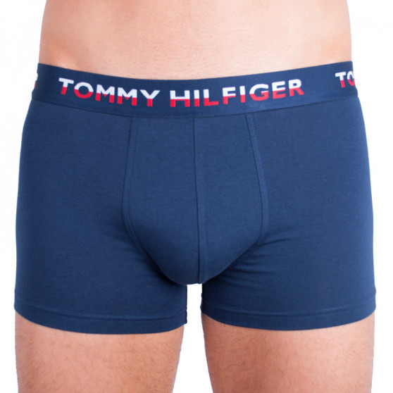 2PACK vīriešu bokseru šorti Tommy Hilfiger daudzkrāsaini (UM0UM00746 222)