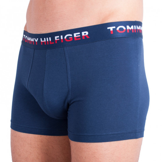 2PACK vīriešu bokseru šorti Tommy Hilfiger daudzkrāsaini (UM0UM00746 222)