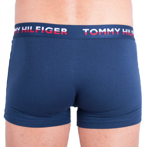 2PACK vīriešu bokseru šorti Tommy Hilfiger daudzkrāsaini (UM0UM00746 222)