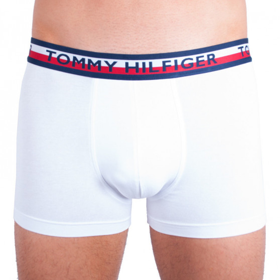 2PACK vīriešu bokseru šorti Tommy Hilfiger daudzkrāsaini (UM0UM00746 222)