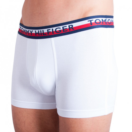 2PACK vīriešu bokseru šorti Tommy Hilfiger daudzkrāsaini (UM0UM00746 222)