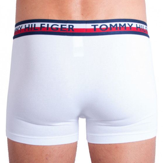 2PACK vīriešu bokseru šorti Tommy Hilfiger daudzkrāsaini (UM0UM00746 222)