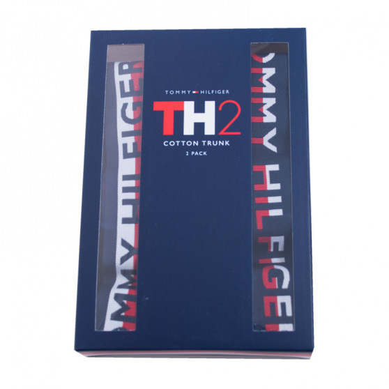 2PACK vīriešu bokseru šorti Tommy Hilfiger daudzkrāsaini (UM0UM00746 222)