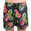 Vīriešu peldkostīmi 69SLAM boardshort leilani black