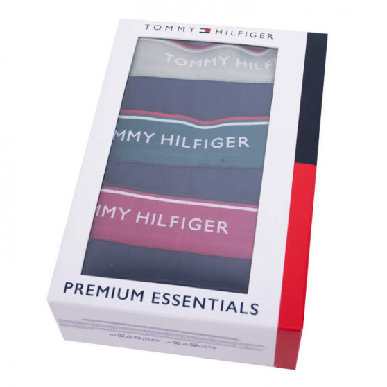 3PACK vīriešu bokseru šorti Tommy Hilfiger tumši zili (1U87903842 638)