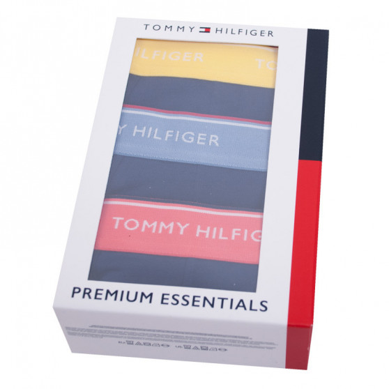 3PACK vīriešu bokseru šorti Tommy Hilfiger tumši zili (1U87903842 890)