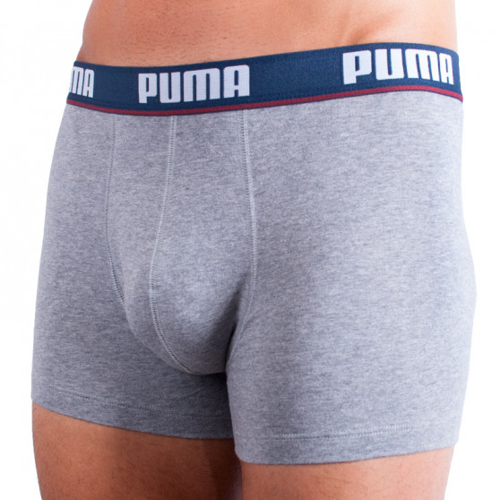 2PACK vīriešu bokseru šorti Puma daudzkrāsaini (671001001 070)