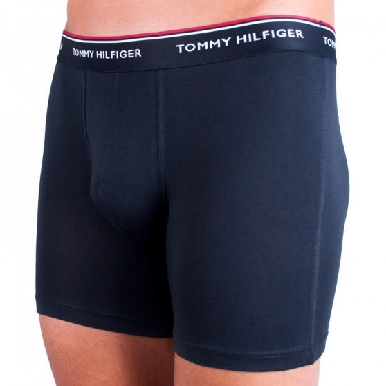 3PACK vīriešu bokseru šorti Tommy Hilfiger daudzkrāsaini (UM0UM00010 004)