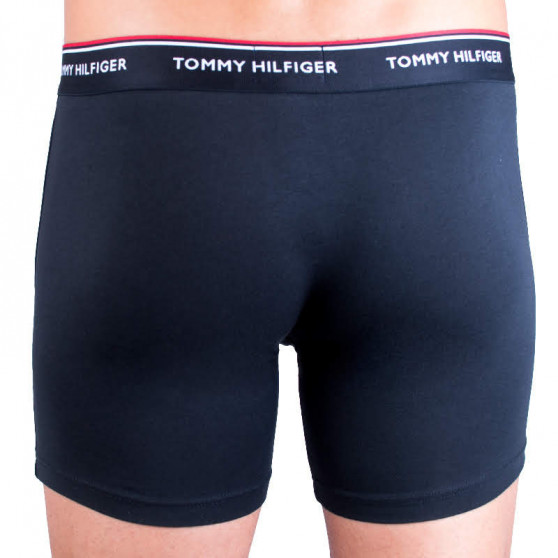 3PACK vīriešu bokseru šorti Tommy Hilfiger daudzkrāsaini (UM0UM00010 004)