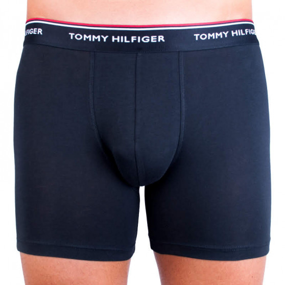 3PACK vīriešu bokseru šorti Tommy Hilfiger daudzkrāsaini (UM0UM00010 004)