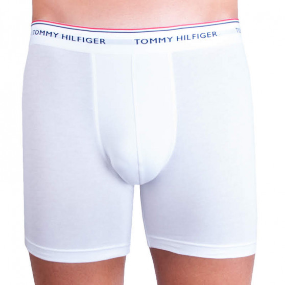 3PACK vīriešu bokseru šorti Tommy Hilfiger daudzkrāsaini (UM0UM00010 004)