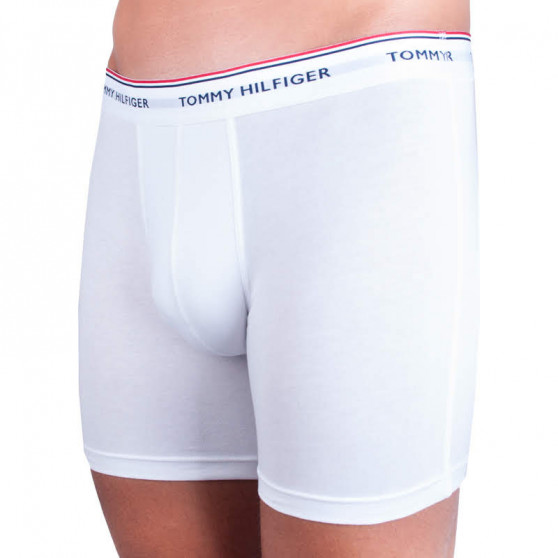 3PACK vīriešu bokseru šorti Tommy Hilfiger daudzkrāsaini (UM0UM00010 004)