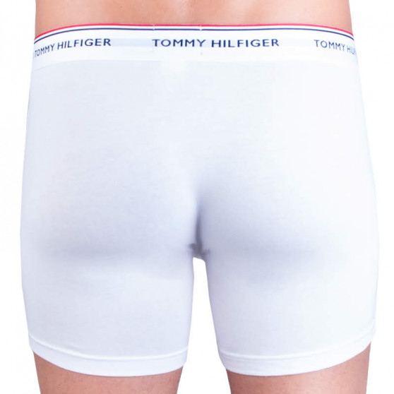 3PACK vīriešu bokseru šorti Tommy Hilfiger daudzkrāsaini (UM0UM00010 004)