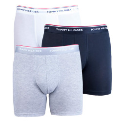 3PACK vīriešu bokseru šorti Tommy Hilfiger daudzkrāsaini (UM0UM00010 004)