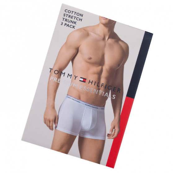 3PACK vīriešu bokseru šorti Tommy Hilfiger daudzkrāsaini (UM0UM00010 004)