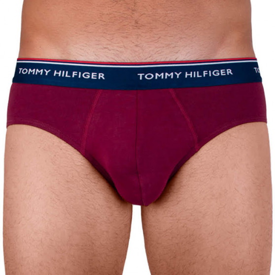 3PACK vīriešu apakšbikses Tommy Hilfiger daudzkrāsains (1U87903766 096)