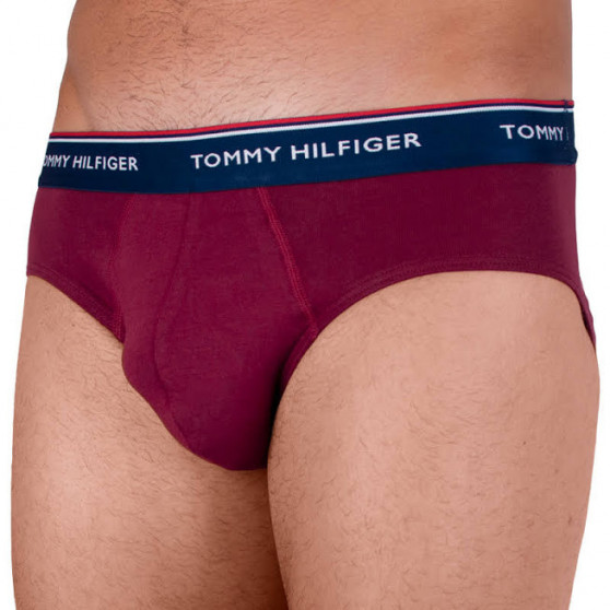 3PACK vīriešu apakšbikses Tommy Hilfiger daudzkrāsains (1U87903766 096)