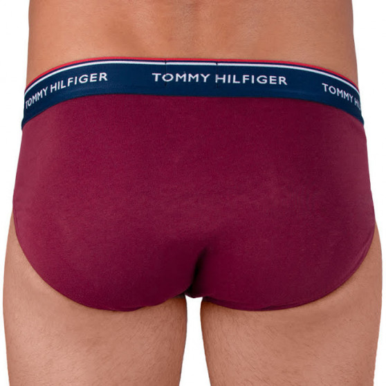 3PACK vīriešu apakšbikses Tommy Hilfiger daudzkrāsains (1U87903766 096)