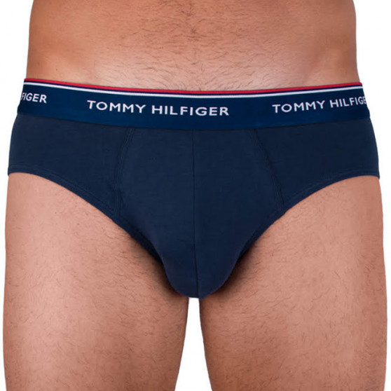 3PACK vīriešu apakšbikses Tommy Hilfiger daudzkrāsains (1U87903766 096)