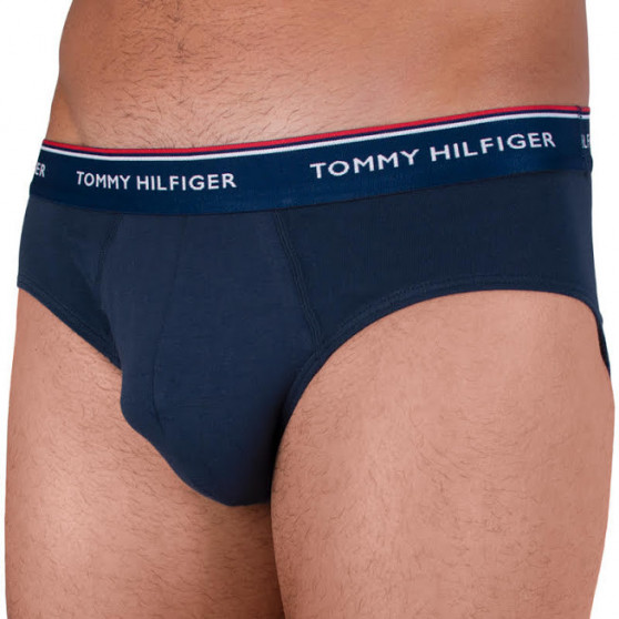 3PACK vīriešu apakšbikses Tommy Hilfiger daudzkrāsains (1U87903766 096)