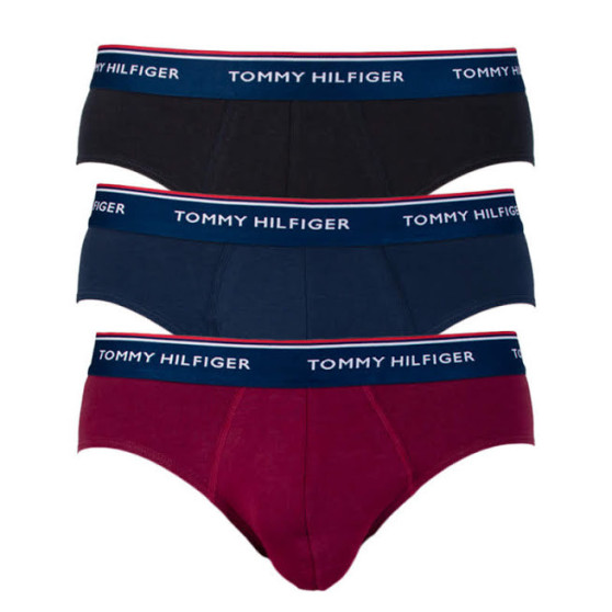 3PACK vīriešu apakšbikses Tommy Hilfiger daudzkrāsains (1U87903766 096)