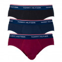 3PACK vīriešu apakšbikses Tommy Hilfiger daudzkrāsains (1U87903766 096)