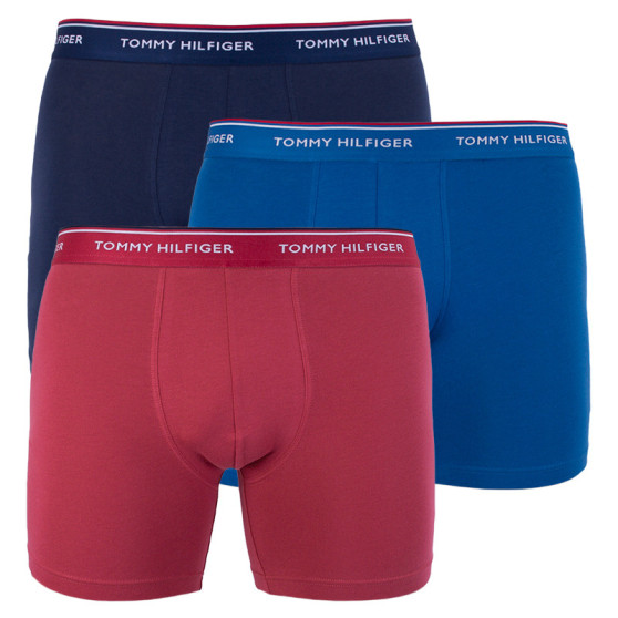 3PACK vīriešu bokseru šorti Tommy Hilfiger daudzkrāsaini (UM0UM00010 071)