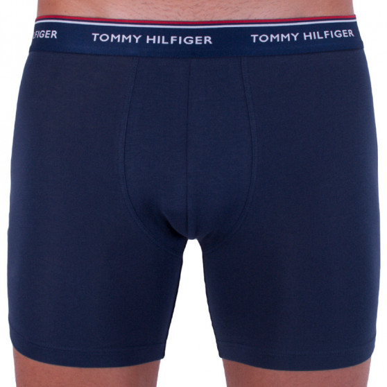 3PACK vīriešu bokseru šorti Tommy Hilfiger daudzkrāsaini (UM0UM00010 071)