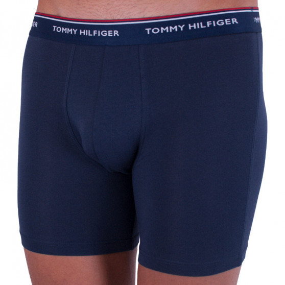 3PACK vīriešu bokseru šorti Tommy Hilfiger daudzkrāsaini (UM0UM00010 071)