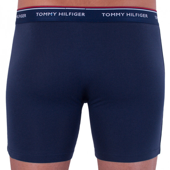 3PACK vīriešu bokseru šorti Tommy Hilfiger daudzkrāsaini (UM0UM00010 071)