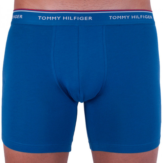 3PACK vīriešu bokseru šorti Tommy Hilfiger daudzkrāsaini (UM0UM00010 071)