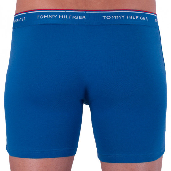 3PACK vīriešu bokseru šorti Tommy Hilfiger daudzkrāsaini (UM0UM00010 071)