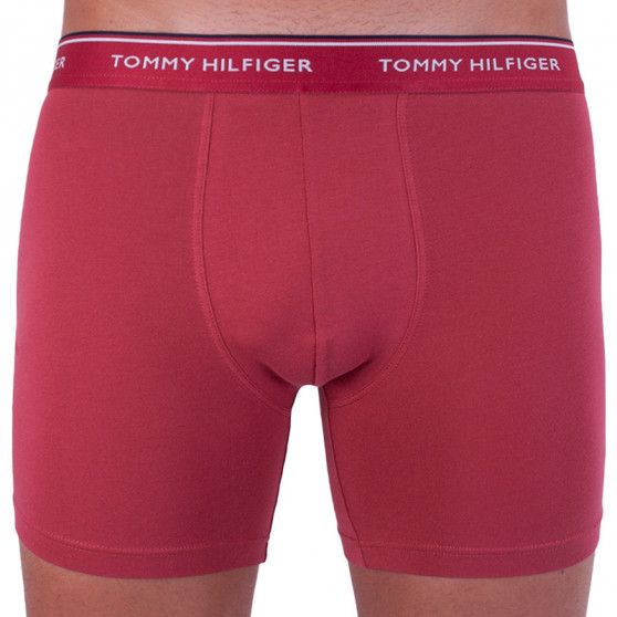 3PACK vīriešu bokseru šorti Tommy Hilfiger daudzkrāsaini (UM0UM00010 071)