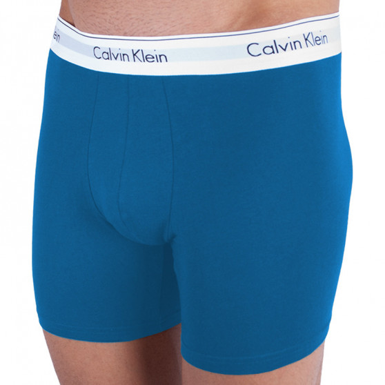 2PACK vīriešu bokseru šorti Calvin Klein daudzkrāsaini (NB1087A-SBN)