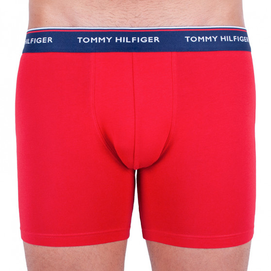 3PACK vīriešu bokseru šorti Tommy Hilfiger daudzkrāsaini (UM0UM00010 052)