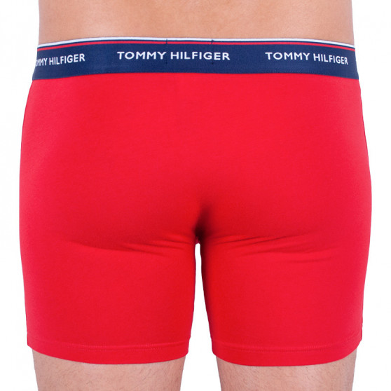 3PACK vīriešu bokseru šorti Tommy Hilfiger daudzkrāsaini (UM0UM00010 052)