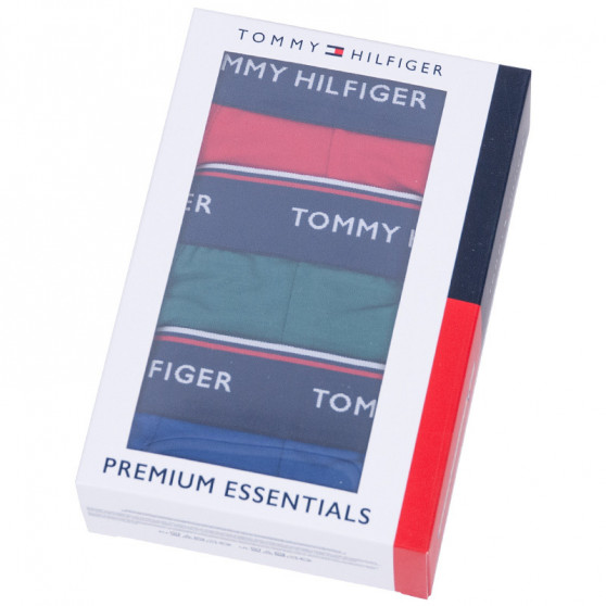 3PACK vīriešu bokseru šorti Tommy Hilfiger daudzkrāsaini (UM0UM00010 052)