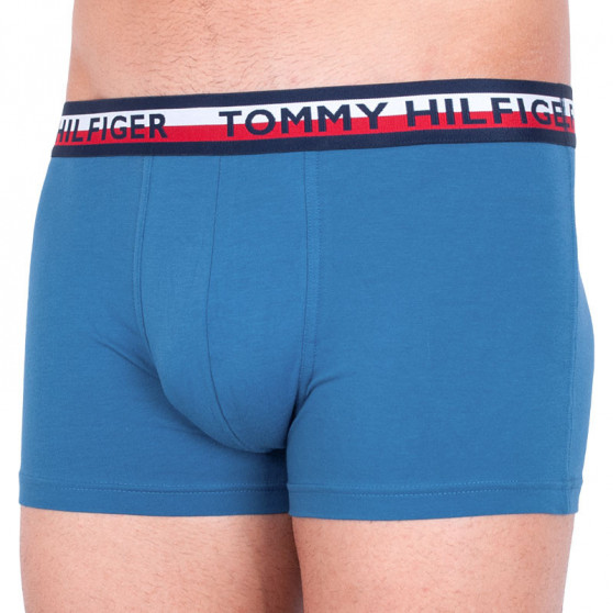 2PACK vīriešu bokseru šorti Tommy Hilfiger daudzkrāsaini (UM0UM00746 006)