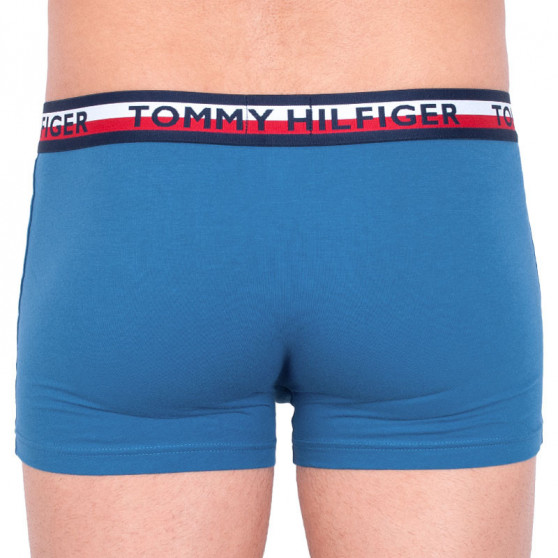 2PACK vīriešu bokseru šorti Tommy Hilfiger daudzkrāsaini (UM0UM00746 006)