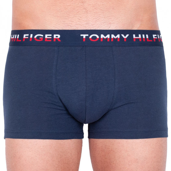 2PACK vīriešu bokseru šorti Tommy Hilfiger daudzkrāsaini (UM0UM00746 006)